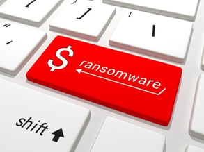 Avoid Launching Ransomware Viruses with a Secure Network from Duplicated Business Solutions